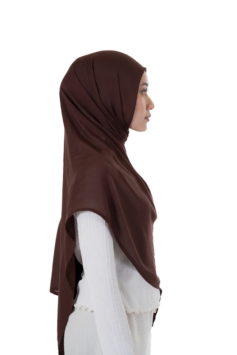 Brown Modal - Image 3